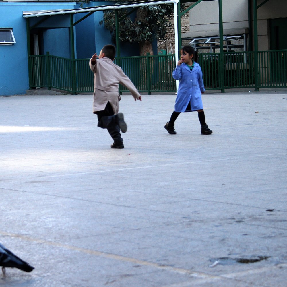 Fiscalización detectó trabajando a tres profesores inhabilitados por delitos sexuales