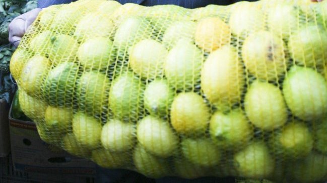 Brasil autorizó la venta de frutos cítricos chilenos