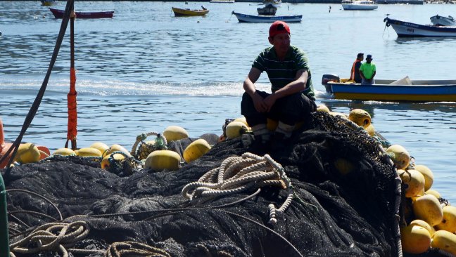 Pescadores artesanales del Maule denunciaron incumplimiento en veda de merluza