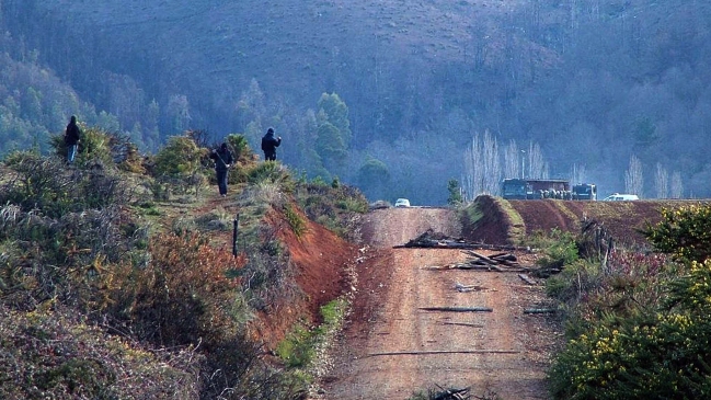 Encapuchados incendiaron cuatro camiones en Región de La Araucanía