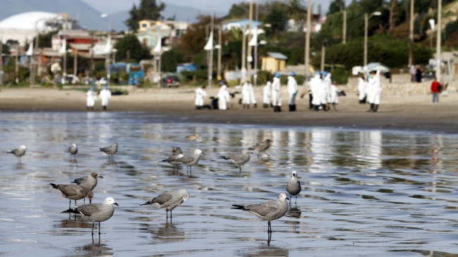 Pescadores temen que marejadas puedan aumentar contaminación en Quintero