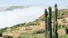 Cambio climático desplazaría la camanchaca en el desierto de Chile