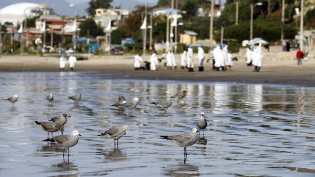 Salud prohibió pesca y uso de playas en cercanías de Quintero por derrame