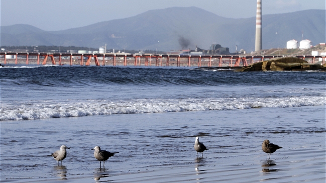 Autoridades levantaron prohibición para uso recreativo de playas en Quintero