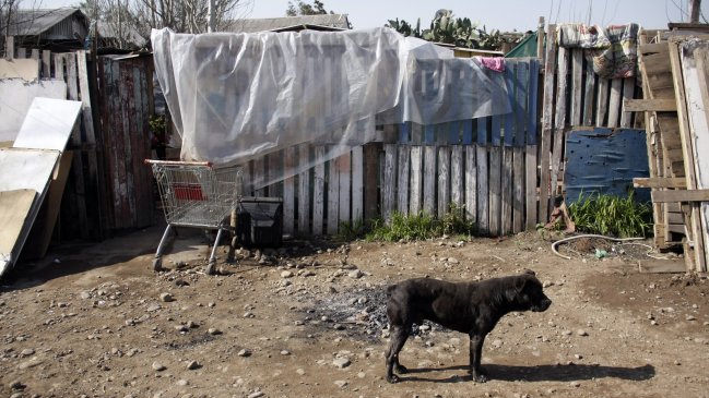 ONG: Hoy se vive una nueva pobreza, más vinculada a la desigualdad