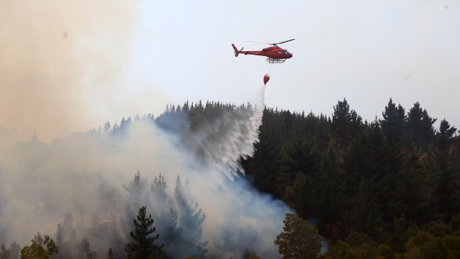 Onemi mantiene alerta roja por incendio forestal en Curacaví - Cooperativa.cl