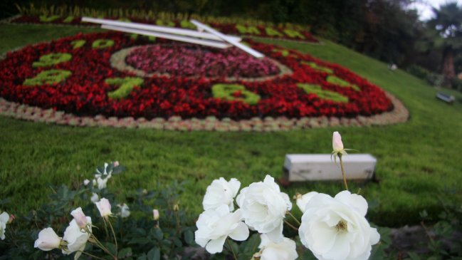 Desconocidos dañaron reloj de flores en Viña del Mar