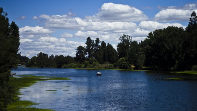 40 personas trabajan en búsqueda de joven desaparecido en Río Rapel