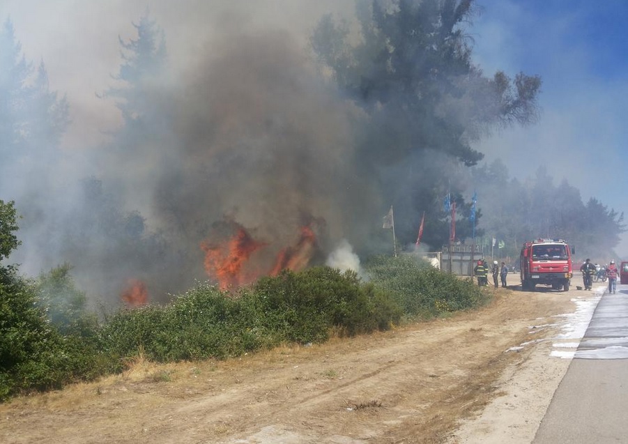 Onemi declaró alerta roja por incendio forestal en Casablanca