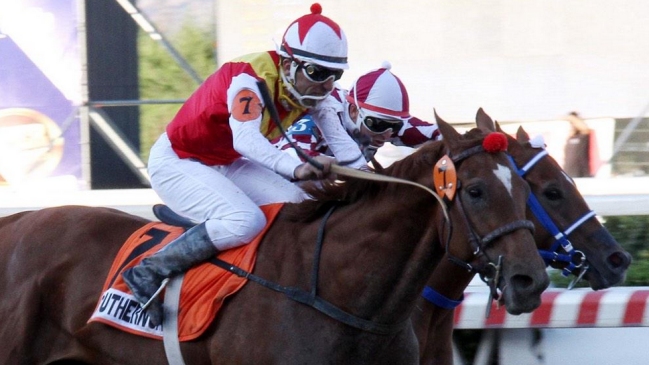 Southern Cat se adjudicó el clásico St. Leger en el Hipódromo Chile