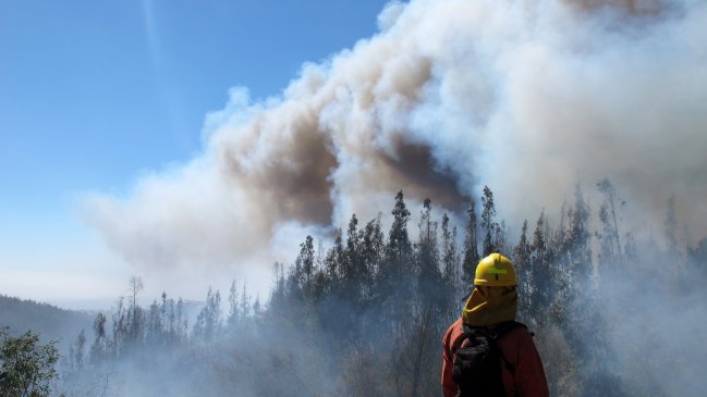 Incendio forestal en Villa Alemana suma segunda alerta roja en Valparaíso