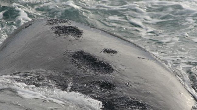 Imagen foto_00000002