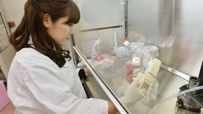 Autora de polémico estudio de células madre es incapaz de replicar resultados