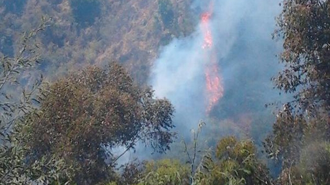 Onemi declaró alerta roja por incendio forestal en Quilpué y Villa Alemana