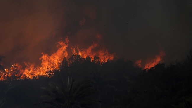 Onemi decretó alerta roja en Petorca por incendio forestal