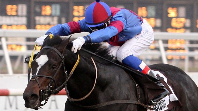 Este viernes se corre el clásico Coronación en el Club Hípico