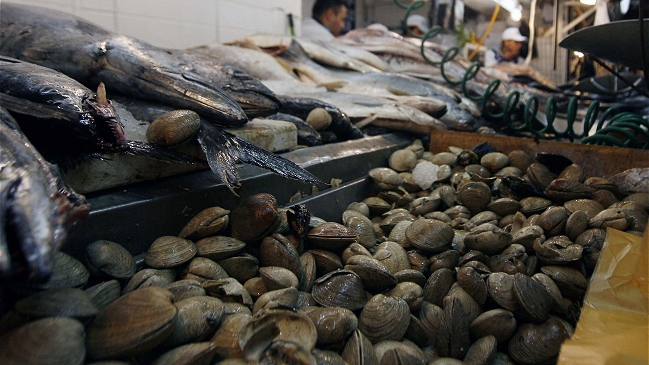 Autoridad sanitaria fiscalizó venta de pescados y mariscos en el Mercado Central