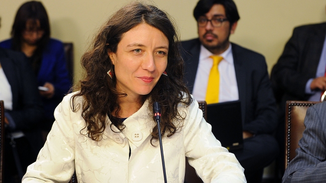 Gobierno confía en poder despachar proyecto de inclusión escolar antes del 31 de enero