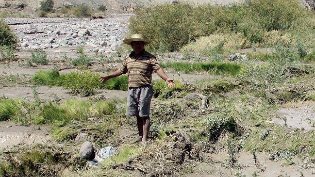 Desempleo bajó a 6,1 por ciento en el trimestre septiembre-noviembre