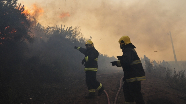 Intendencia mantiene alerta roja por incendio forestal en San Antonio