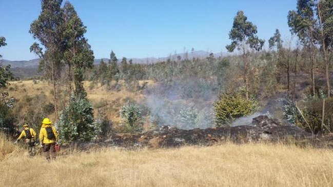 Asado terminó con cinco hectáreas quemadas en Cartagena