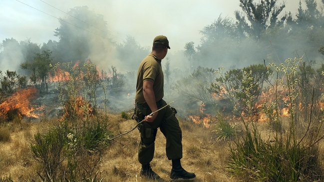 15 incendios forestales se mantienen activos en el país
