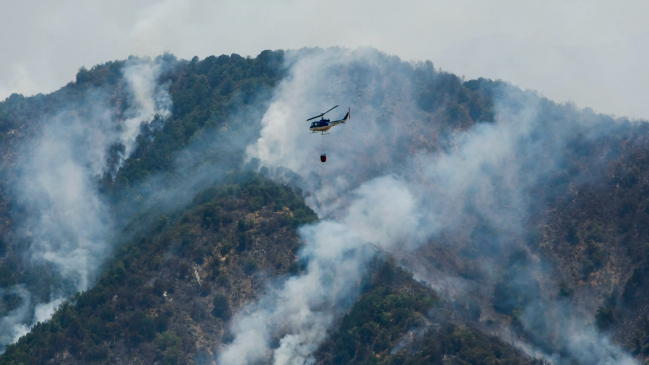 Gobierno argentino enviará ayuda a Chile para combatir incendios forestales
