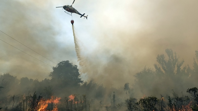 15 mil hectáreas afectadas por incendios en la Región del Maule
