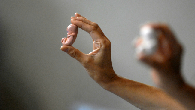 Juventud de Renovación Nacional lanzó campaña contra el aborto