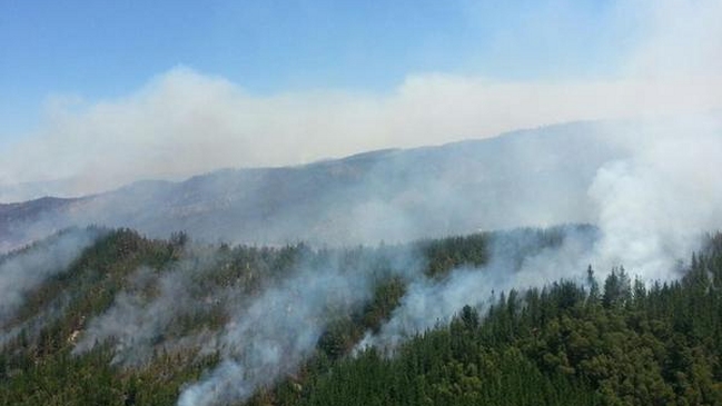 Incendio en Región del Maule ha destruido más de 13 mil hectáreas