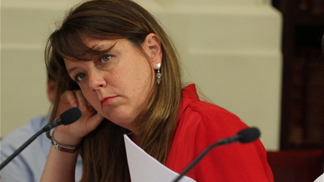 Reforma Educacional: El chilenismo de Von Baer por plazo para indicaciones