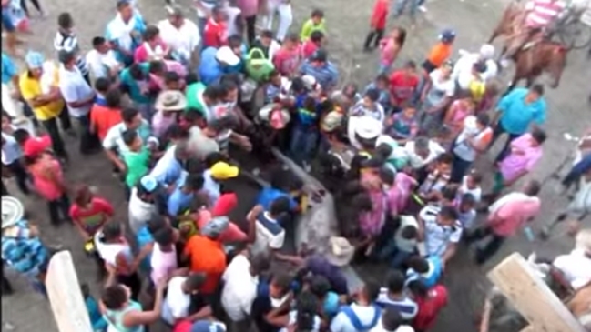 Conmoción causa descuartizamiento de un caballo vivo en Colombia
