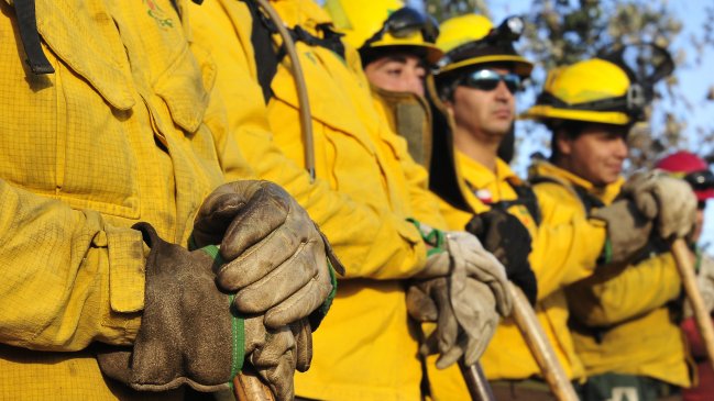 Brigadistas de Conaf del Biobío iniciaron paro indefinido