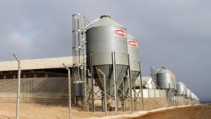 Vecinos de Freirina reúnen firmas para pedir el regreso de Agrosuper