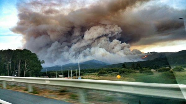 Incendio forestal se registra en la provincia de Arauco