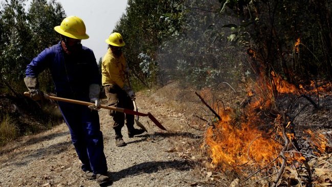 Intendencia declaró Alerta Roja para Región del Biobío por incendios forestales