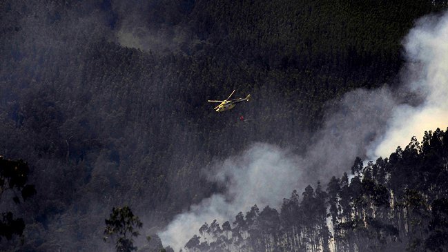 Incendios forestales han destruido más de 3.000 hectáreas en la Región del Biobío