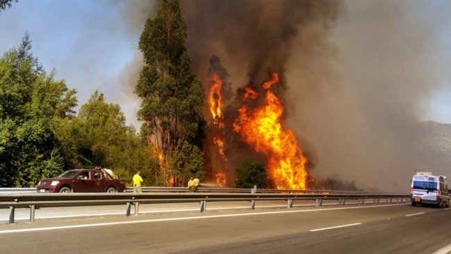 Casablanca: Alerta roja por incendio forestal cercano a viviendas