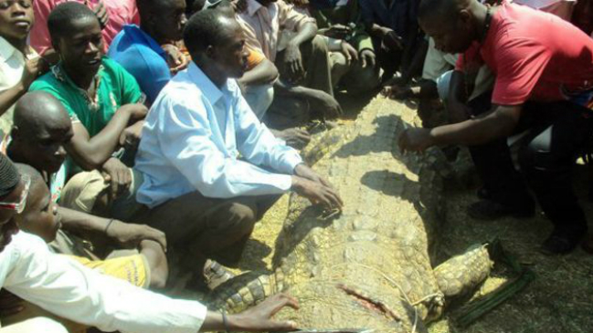 El hombre que se vengó del cocodrilo que devoró a su esposa