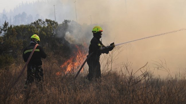 Balance de Onemi: 21 incendios forestales en cinco regiones