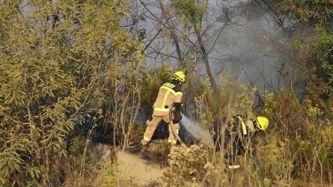 Brigadista de Conaf sufrió infarto durante combate de incendio en Casablanca