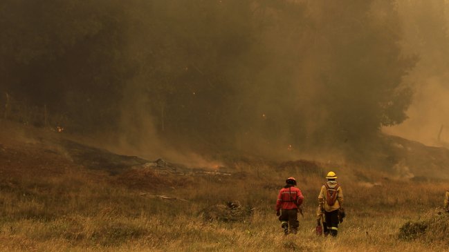 Ministro Peñailillo llamó a tener precaución y evitar incendios forestales