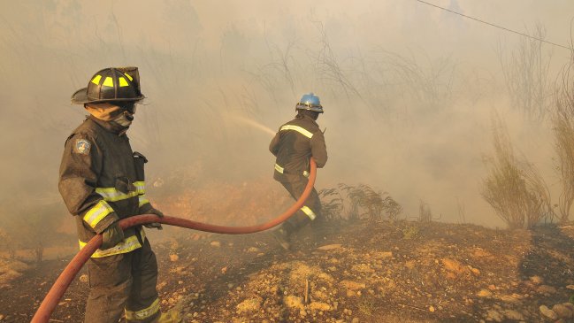 Onemi: 21 incendios forestales siguen activos en el país