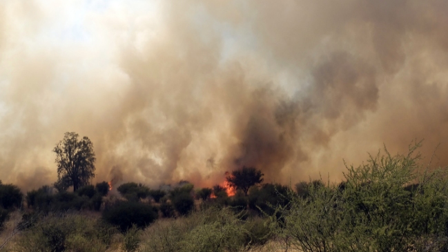 Se levantó alerta roja por incendios forestales en la Región del Maule