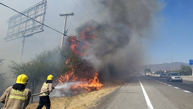 Municipalidad de Curacaví evalúa acciones legales por incendio forestal