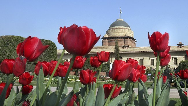 Mujer se casó con un invitado a su boda tras ataque epiléptico del novio