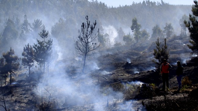 Conaf: Debemos prepararnos para más incendios forestales