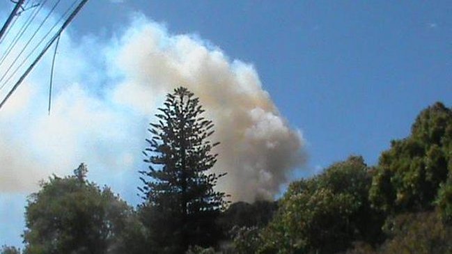 Intendencia del Biobío se querellará por incendios en el Cerro Caracol