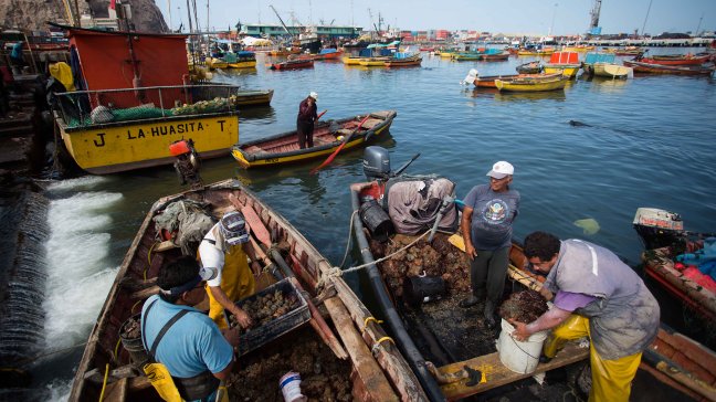 Pescadores del Biobío fueron sancionados por trabajar en aguas del Maule