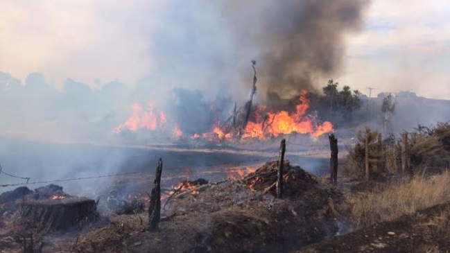 Bombero murió electrocutado en un incendio forestal en Metrenco
